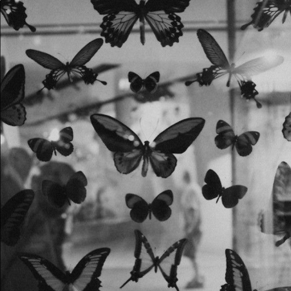 siennab_97